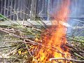 fully involved brush fire