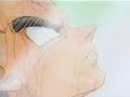 DBZ - Did my Time