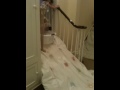 Stair sleds