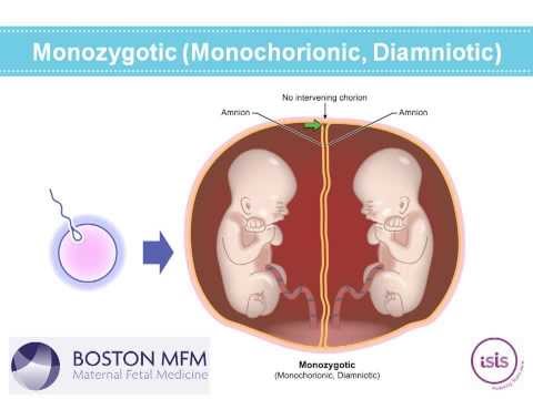 how to care during pregnancy