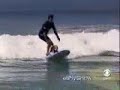Cane surfista