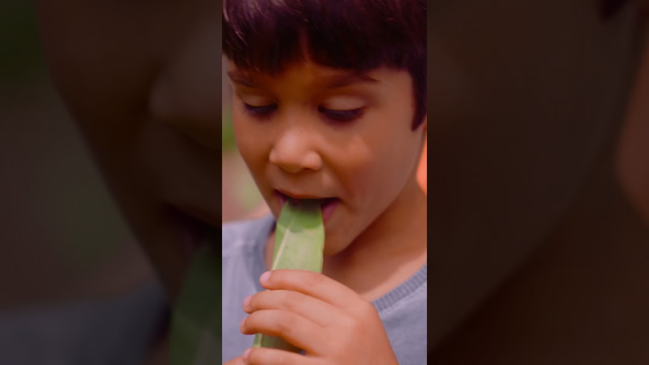 Hidaka Explorer | Assista ao EP 1 na Fazenda Santa Vitória