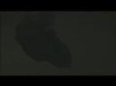 NAM boys INTRO