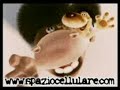 cicirinella hippo e cane doppiato calabrese