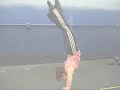 Kathy handstand walk