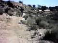 Descenso btt monover