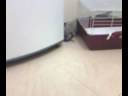 Merlin getting out of a corner Merlin getting out of a corner