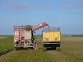 chantier betteraves n�2 dans la Marne avec des fendt