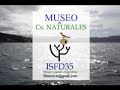 Esta especie tropical  que vive en el oeste del Atlantico, varia su coloracion y su comoportamiento a lo largo de su vida, conozca algunas de sus características biológicas. Video realizado por el Museo de Ciencias Naturales del ISFD35, con la colaboración del Museu e Aquario marinho de Bombinhas. 