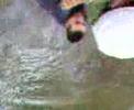 jergins in the river