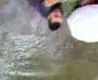 jergins in the river
