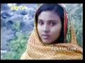 eritrea   eritrean music by wedi tikabo and wedi sheik