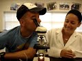 How to Correctly Use a Microscope