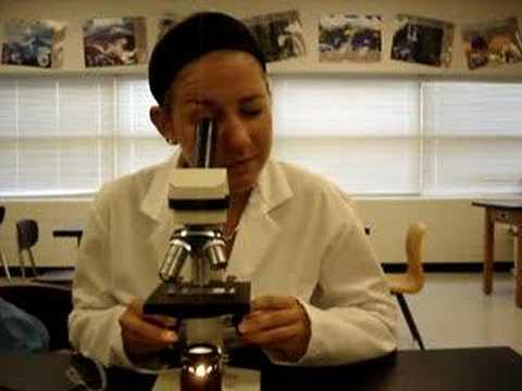 how to use the microscope