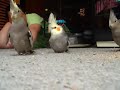 zeke, charlie and christine