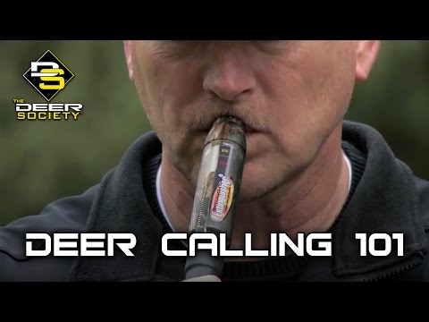 how to properly tag a deer in illinois
