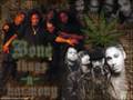 Bone Thugs-N-Harmony - Buddah Lovaz
