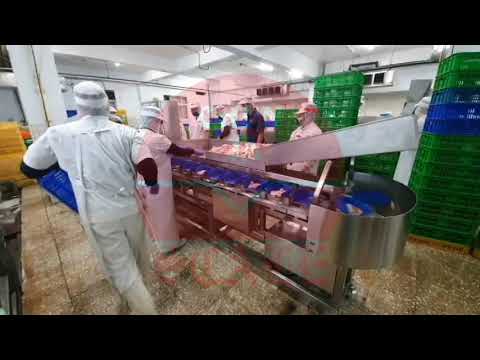 重量分級機(承盤式)