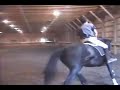 Dressage Clinic III
