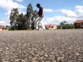 Slic cwalk- shake (pitbull)