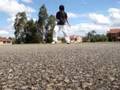 Slic cwalk- shake (pitbull)