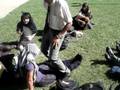 videos de penitencias en el parke 2
