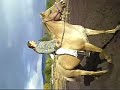 Riding Faye Bareback