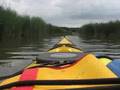 Sea Kayaking Busse Woods Backwaters