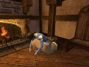 Warhammer Online - What is she doing?!? Warhammer Online - What is she doing?!?