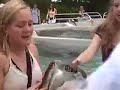 Sea Turtles of the Cayman Islands
