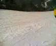 Tasso and Laudo at snowboarding