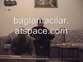 hasan gen�