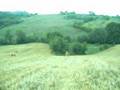 Toscane, Italy: Ultimate frisbee paradise!
