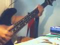 buiikikaesu BASS COVER by PooG