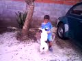 teddy e samuel