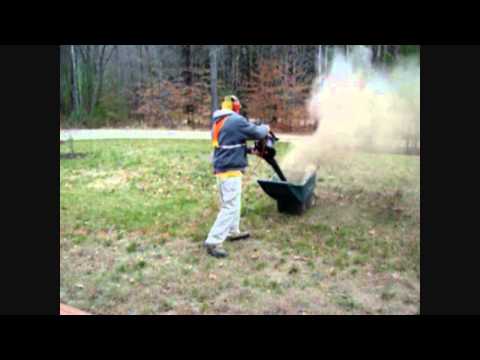 how to fertilize ash trees