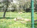 zoo la barben
