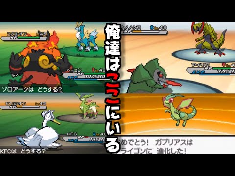 動画