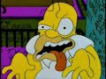 Re: Homer Simpson - Portrait of an Idiot Re: Homer Simpson - Portrait of an Idiot