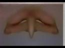 mirrored hand degrade