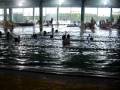 Vodni balet v termah Ptuj