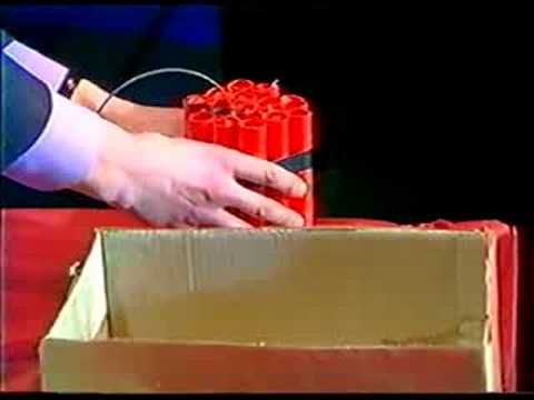 Société Destructrice des Animaux (hamster)