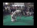 Dimostrazione di Ju Jitsu con Fortunato Emanuele e Roberto