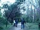 pehla-nasha-nandi-hills.html