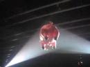 Sheep-Flying pig