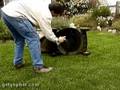 GopherHaul 13 - Lawn Care Entrepreneur Business Show