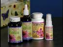 Lifestyle Markets NF Echinamide  Influenza Echinacea