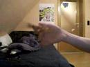 Sticktrick Sticktrick