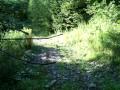 Upstate Top Path.