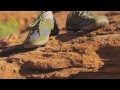 Stem Footwear™ Commercial